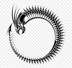 Jump to navigation jump to search. Ouroboros Chinese Dragon Symbol Computer Icons Clipart 2490437 Pinclipart