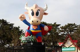 소의 해인 2021년 신축년, 소 관련 지명 부산 남구 우암동 등 전국 731곳. Latdfqxqoabtmm