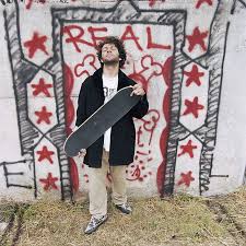 A film by tasha van zandt and sebastian zeck. Postcards From Mark Gonzales Real Skateboards