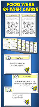 Food Webs Task Cards Teaching Science Food Web Teaching Fun