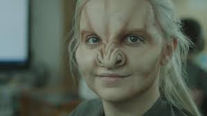 MUD Portraits: Stephen Dimmick