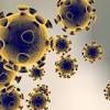 Story image for coronavirus from Coast Reporter