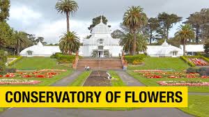 Please fill out the form for direct inquiries to the new york botanical garden. Walking Tour Of Conservatory Of Flowers In San Francisco Youtube