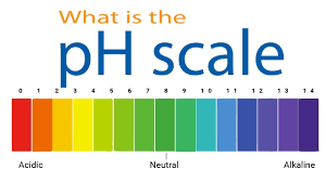 what is the ph scale hindi