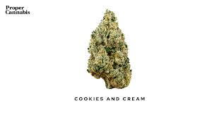 The durban special (blueberry og #3/cookies & cream x durban poison #7) 12 regular seeds. Cookie And Cream Strain Proper Cannabis