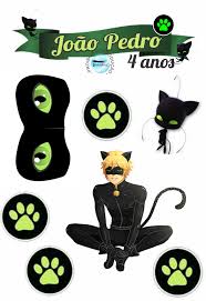 Cat Noir Bolos De Aniversario Gato Decoracao De Aniversario Ladybug Bolo Gato