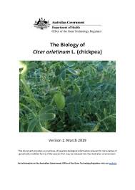 Image result for Cicer arietinum