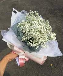 Baby Breath Bouquet Price Off 79 Buy