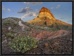 Free shipping on orders over $35. East Urban Home Prickly Pear Cactus At Cerro Castellan Chihuahuan Desert Big Bend National Park Chihuahuan Desert Texas Wrapped Canvas Photograph Wayfair
