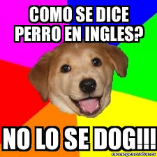 Meme Advice Dog Como Se Dice Perro En Ingles No Lo Se Dog 28999797