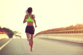 Stralsunder triathlon, sport, laufen, schwimmen, radfahren. Ausdauersport Triathlon Trainingsplan Und Tipps Fur Einsteiger Brigitte De