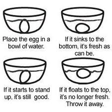 Are eggs fresh if they sink? Eggs Fresh How To Tell If Your Eggs Have Gone Bad Lottyearns