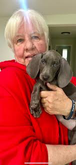 Mornings with Freya and Red