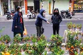 Chợ hoa Hàng Lược ngày đầu hoạt động