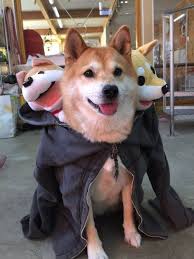 The Three Headed Cerberus Shiba Inu Dog Dog Costumes Shiba Inu