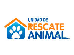 Resultado de imagen para rescate animal