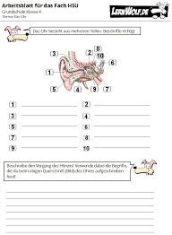 Proben Und Lernzielkontrollen Fur Sachkunde Hsu In Der Grundschule Kostenlos Zum Download Lernwolf De Grundschule, ab klasse 3 auch zum selbst erlesen geeignet. sachkunde hsu