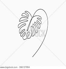 Maybe you would like to learn more about one of these? Monstera Leaf One Vector Photo Free Trial Bigstock