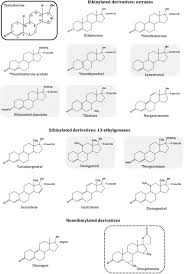 Image result for Pregnane Progestin