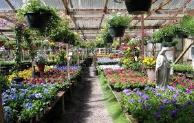 Fall shopping in half moon bay: 5 Plant Nurseries On The Peninsula To Start Your Spring Garden Cbs San Francisco