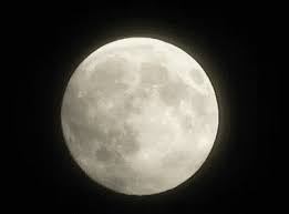 With tenor, maker of gif keyboard, add popular full moon gif animated gifs to your conversations. Full Moon Gif