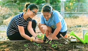 Ada beberapa tanaman sayur yang bisa kamu tanam sendiri di pekarangan rumah. 7 Konsep Desain Kebun Sayur Mini Untuk Rumah Hemat Kantong