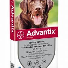 We did not find results for: Advantix Dog Spot On Flea Tick Treatment For Dogs Petduka Petduka Com