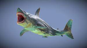 First published on may 28. Great White Shark Toy Buy Royalty Free 3d Model By Omegadarling Omegadarling 58c9194