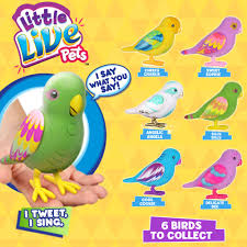 The loss of a pet can be such a difficult time. Quotes About Bird Pets 18 Quotes