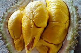 Buah ini juga terkenal dengan harga yang mahal. Buah Durian Popular Di Malaysia Durian Aesthetic Food Beautiful Fruits