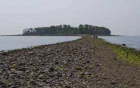 Here Are 8 Islands In Connecticut That Are An Absolute Must Visit State Parks Connecticut Attractions Connecticut Coast