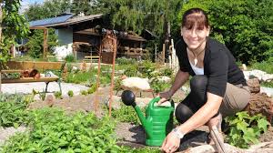 Aus petersilie, rotwein, weinessig und honig wird ein herzwein zubereitet, der herz und kreislauf stärken soll. Krautergarten Hildegard Von Bingen Schaubetriebe Tirol In Osterreich