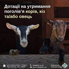 🐏🐮🐐Дотації для утримання поголів'я корів, кіз та/або овець 💵 Від 3  лютого 2025 року розпочався прийом заявок на спеціальні бюджетні дотації  для утримання поголів'я корів, кіз та/або овець. ➡️Заявку можна подати через