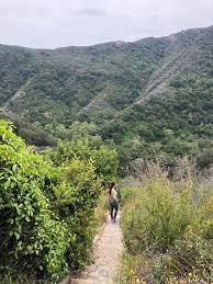 Located just east of prospect studios, three consecutive stairways climb up los feliz hillside streets. Murphy Ranch Trail Los Angeles Ca Dog Friendly The Modern Female Hiker
