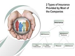 You are presented with so many insurance options that you are unsure which is best. 2 Types Of Insurance Provided By Most Of The Companies Powerpoint Slides Diagrams Themes For Ppt Presentations Graphic Ideas