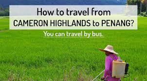 The bus arrives at george town bus station in penang. How To Get From Cameron Highlands To Penang Northern Vietnam