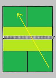 What's popular in the pink pickleball store: Pickleball Scoring System For Singles Match Betting Dog