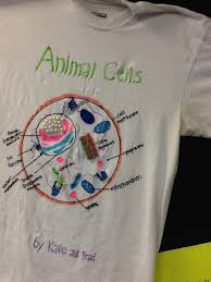 Check spelling or type a new query. Science Brads Idream Portfolio