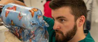 About Us: Northwestern University Prosthetics-Orthotics Center: Feinberg  School of Medicine