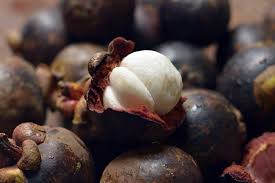 Check spelling or type a new query. Resep Jus Kulit Buah Manggis Artikel Pertanian Terbaru Berita Pertanian Terbaru