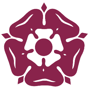 Team B Logo