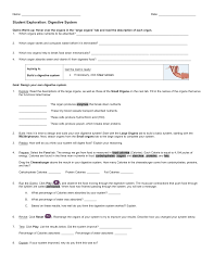 The paper student exploration energy conversions gizmo answer key. Student Exploration Digestive System Answers Homework Love Science Math Gizmo Answer Key Gizmos Digestive System Answers Otterlimitlia