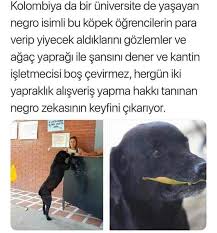 Bilgi Hatice Pala Komik Hayvanlar Hayvan Haklari Komik Goruntuler