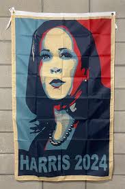 Veterans for Harris Garden Flag