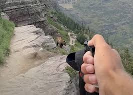 Hiker Records Frantic Grizzly Bear Encounter @ Glacier National Park
