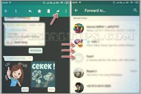 Whatsapp adalah sebuah aplikasi chatting paling populer yang ada di indonesia, bahkan di dunia. 25 Inspirasi Keren Cara Agar Stiker Wa Tidak Terdownload Otomatis Sticker Fans