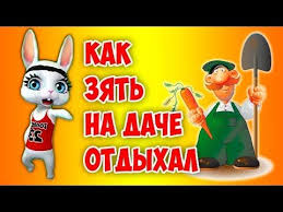 не женюсь я не женюсь ой мама не женюсь прикол Otdyh Zyatya U Tyoshi Na Dache Shutochnaya Pesnya Peredelka Popurri Zoobe Muz Zajka Youtube Pesni Yumoristicheskie Video Muzykalnye Kartinki