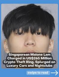 Malone Lam, a 20-year-old Singaporean, faces four charges in Washington,  D.C. for allegedly leading a cryptocurrency theft ring that stole over  US$265 million (S$343 million). The charges include RICO Act violations,  wire