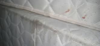 Remove the sheets and mattress pad if one is covering the pillow top. Clean Your Mattress Groomed Home