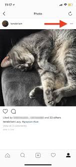 It is straightforward to unarchive an instagram post. Instagram 101 How To Unarchive Posts To Make Them Visible To Other Users Again Smartphones Gadget Hacks
